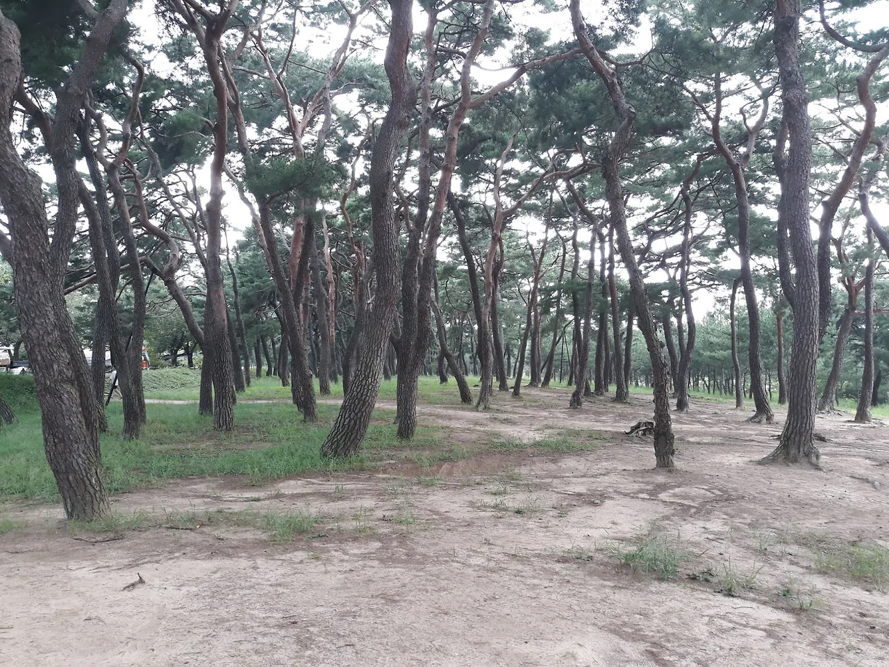 HfnxQ5gQTtSqglJunR9lbZQ4546tFKwG3CetUTkxBBA6CQ6WALYxIEJ2H6QLtUSS2rAH8UFipcgntbQN8M7Q_S65KGikB5gwEaAsvIpiaA1IZHrwfYQmwODfgToi0BIqi98hndtkmDr33s7WXa9Aq2I