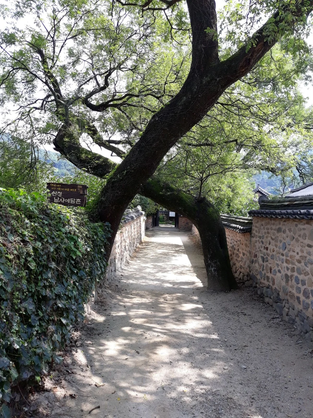 JY4Xk1ammQkM79HShTkcf_bSBu-hE4Dqbu4XFY-tQJGnMuVAlF9-PCXj4rGjgk_2vBV54mFqzuVpo4MXaRyBAm9rU8t-sijK-jbcgmWN3c45MskkfXq2T2huiIoX2Lgd0pU2WPT-nLguTISnoJvtGxs