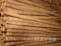 586_i1.jpg?type=m251&wm=Y