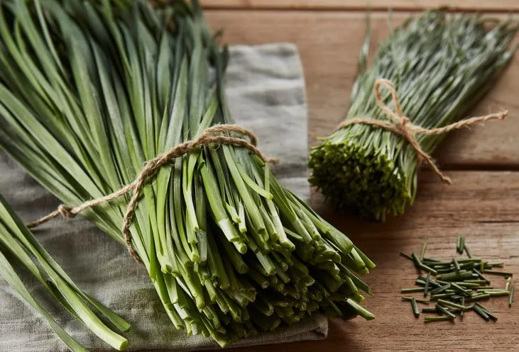 부추 이미지.JPG