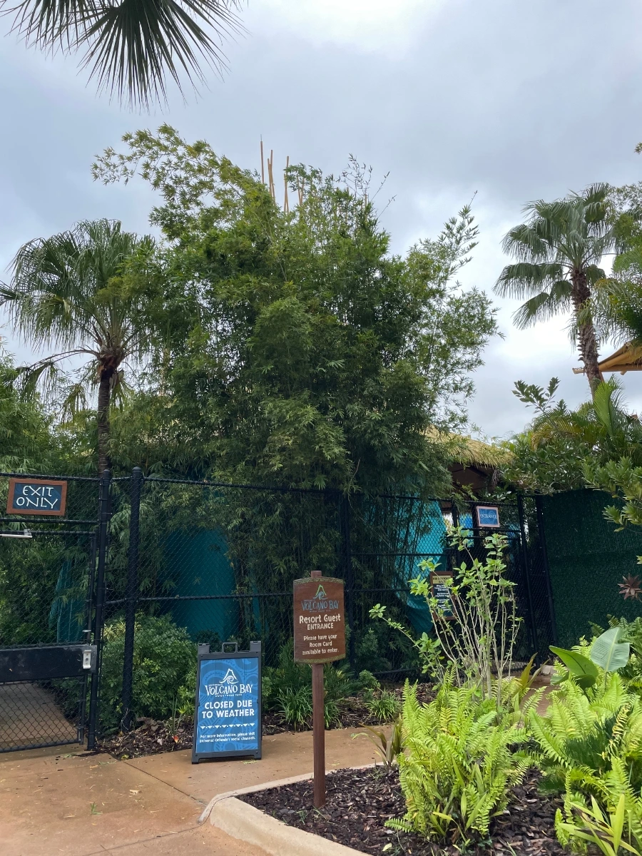 1704493834765.jpg?type=w1