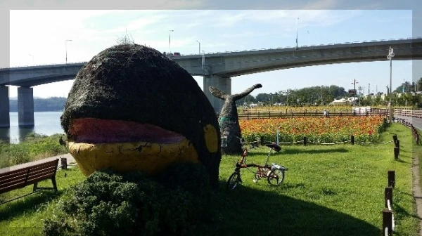 20160920_150621_resized.jpg?type=w740