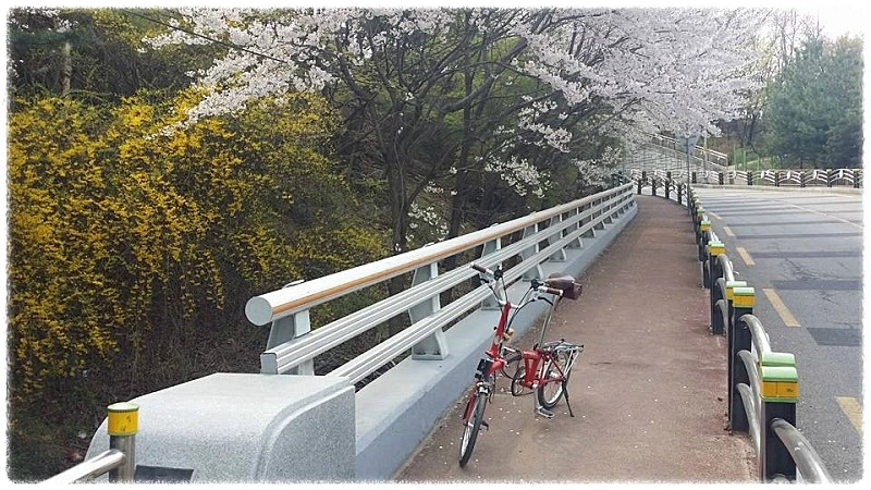 17951696_1076568699115921_3192641737657552105_n.jpg?type=w800