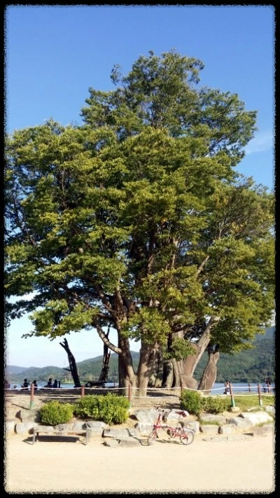 20160920_161906_resized.jpg?type=w740