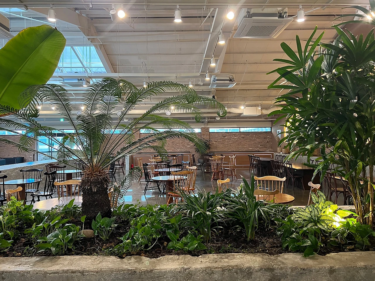 73F5F3CD-E1DA-4C6D-8082-13F0894AF09D.jpeg?type=w1600