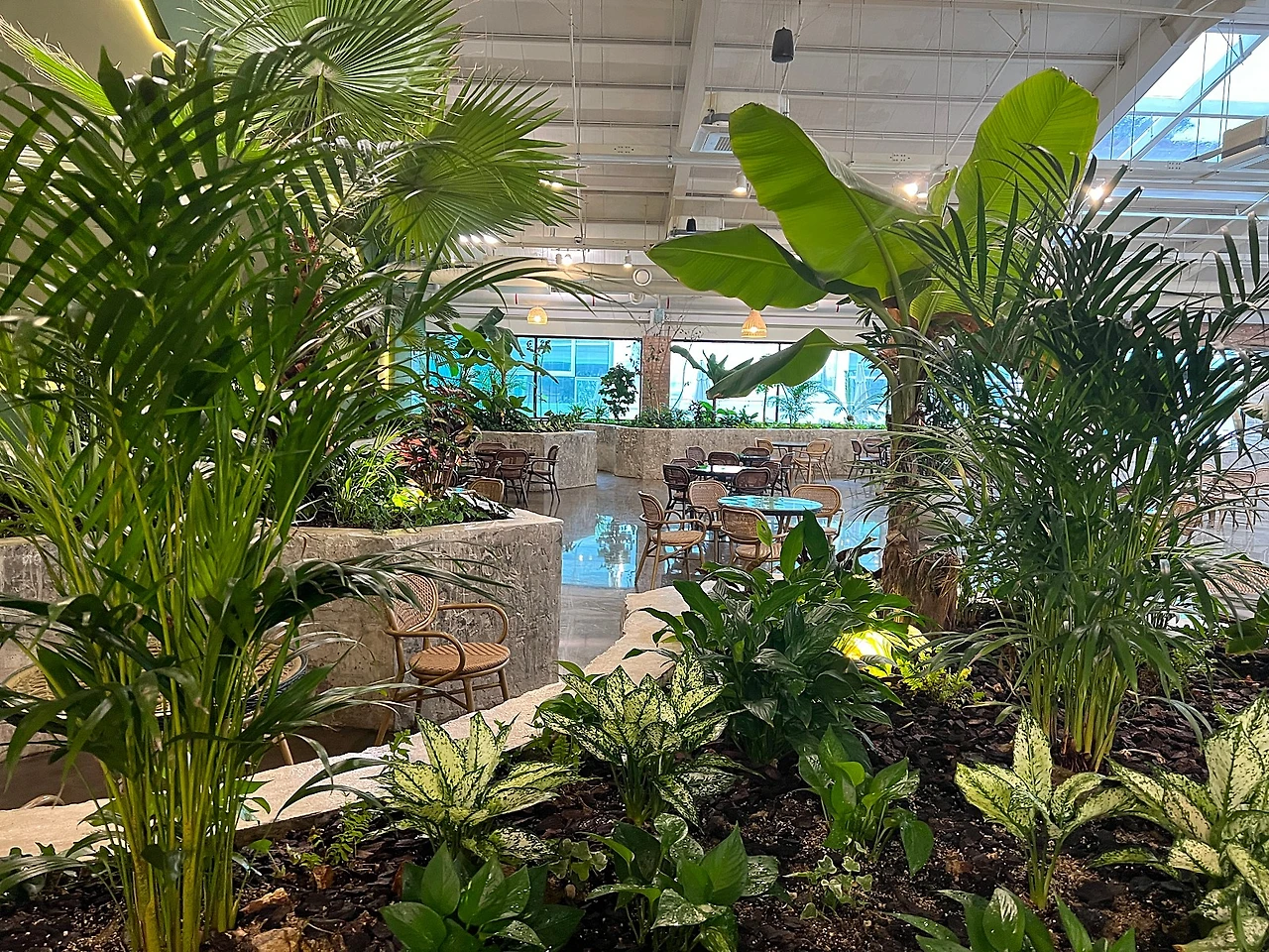 5AD6247D-9C93-430B-B5D4-EE605321DB4C.jpeg?type=w1600