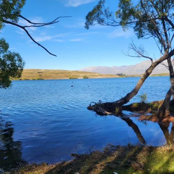 900%EF%BC%BF20250204%EF%BC%BF184620.jpg?type=w580