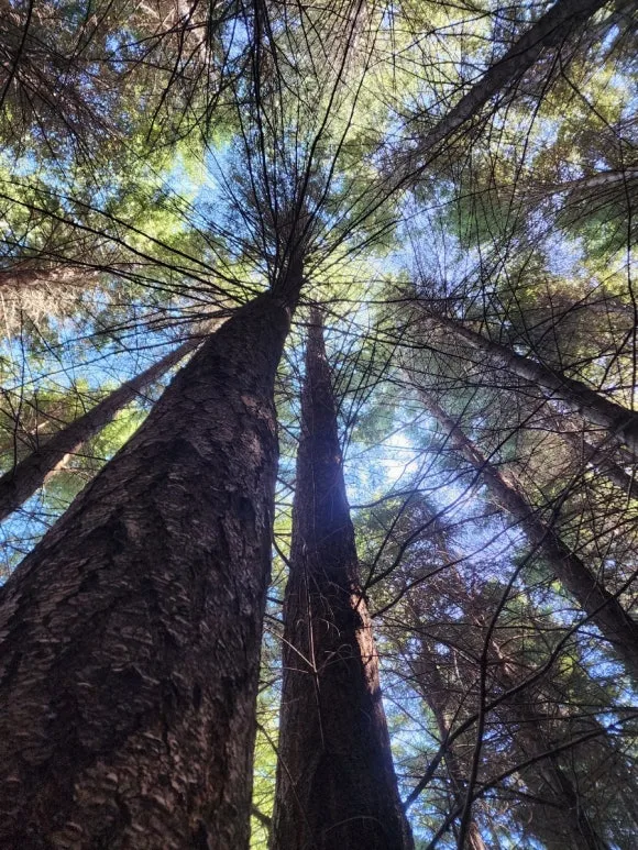 900%EF%BC%BF20250202%EF%BC%BF161955.jpg?type=w580