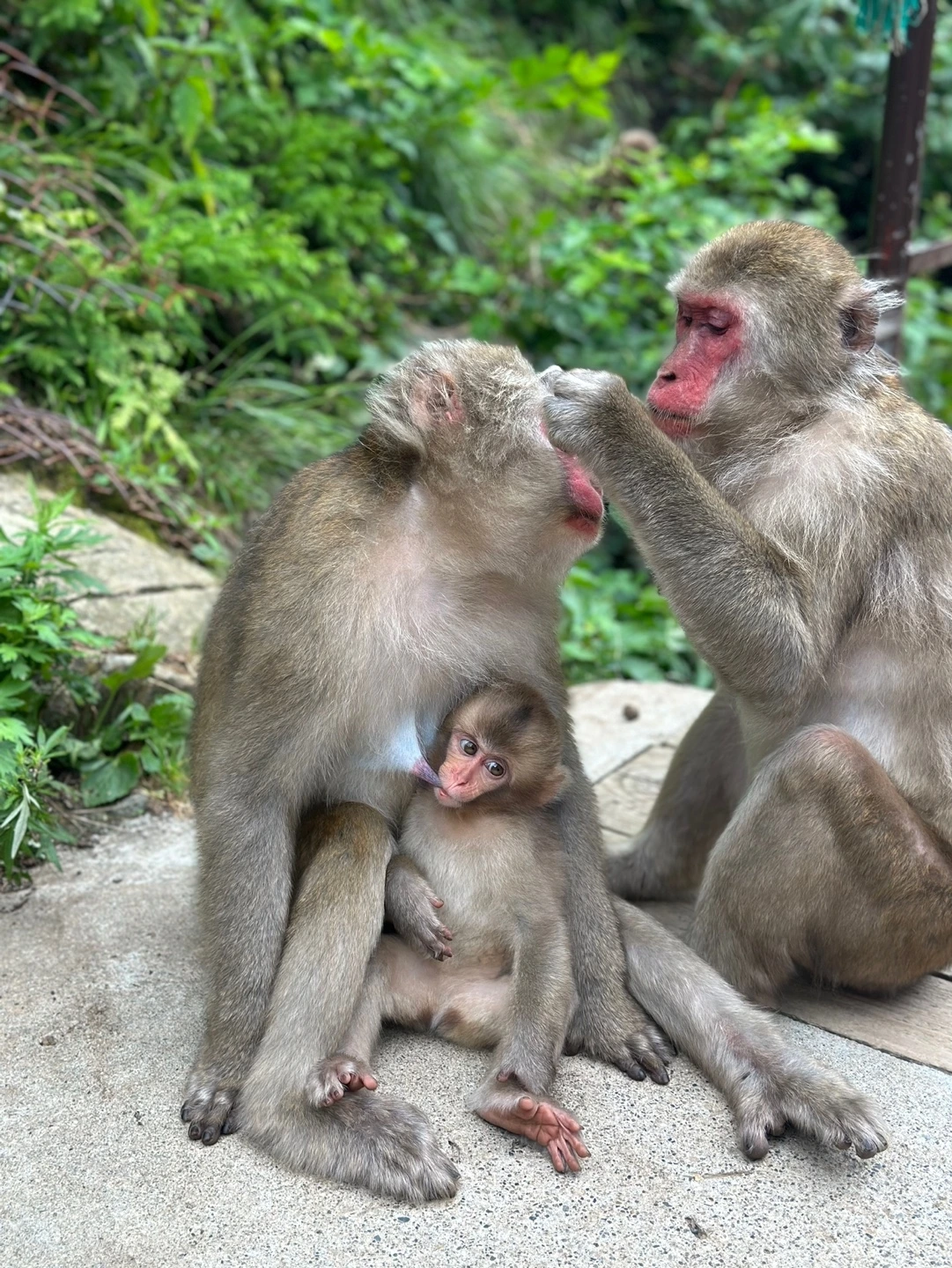 KakaoTalk_Photo_2024-08-17-11-06-23 002jpeg.jpeg