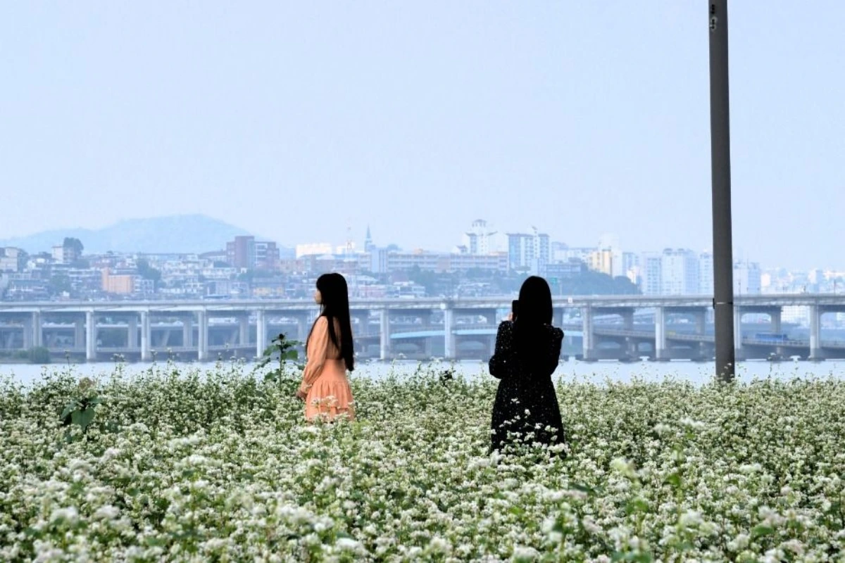 batch_[공공누리 Type3]3540902_image2_1_image.JPG