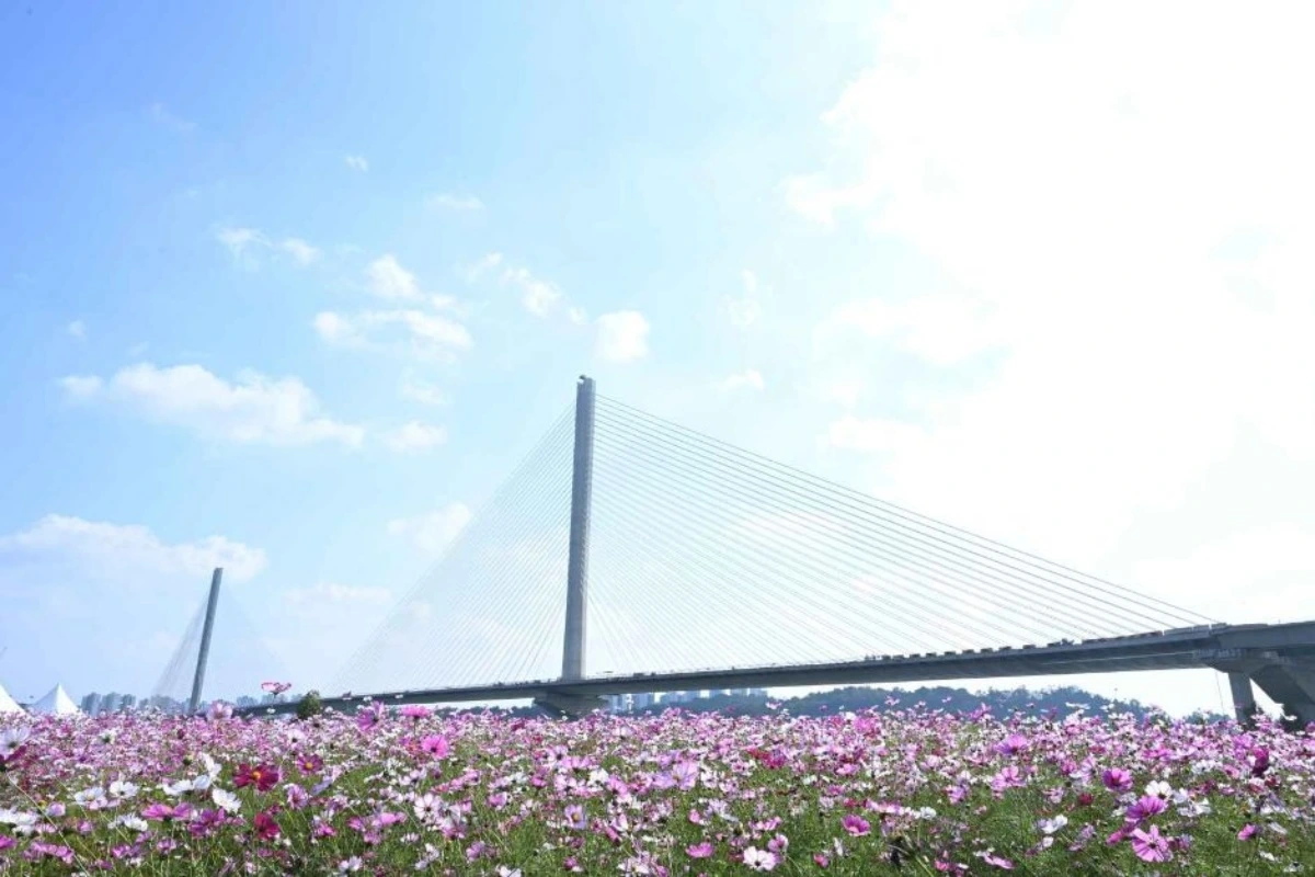 batch_[공공누리 Type3]3378832_image2_1_image.JPG