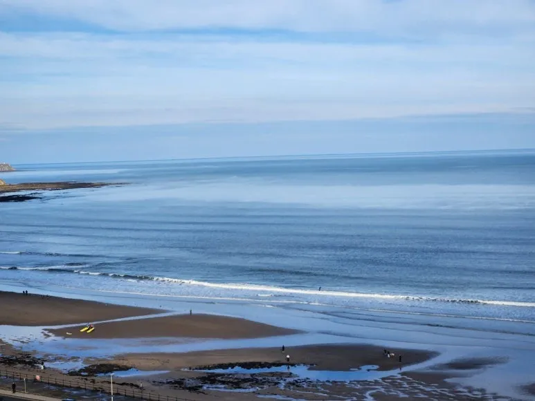 20241101_112314.jpg?type=w773