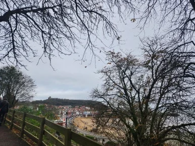 20241102_112116.jpg?type=w386