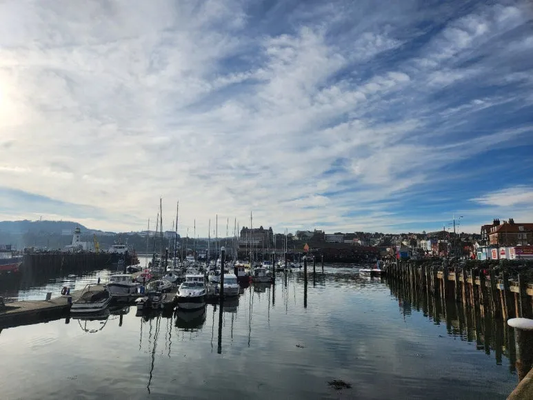 20241101_130454.jpg?type=w773