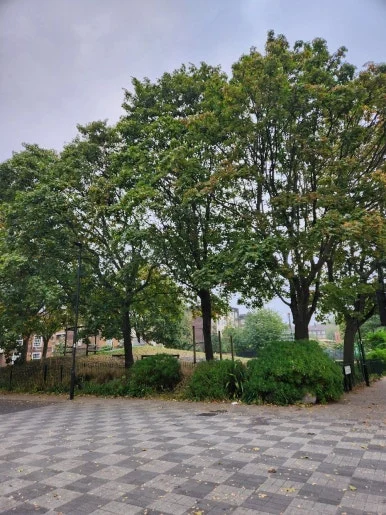 20240920_075347.jpg?type=w386