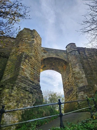 20241101_122559.jpg?type=w386