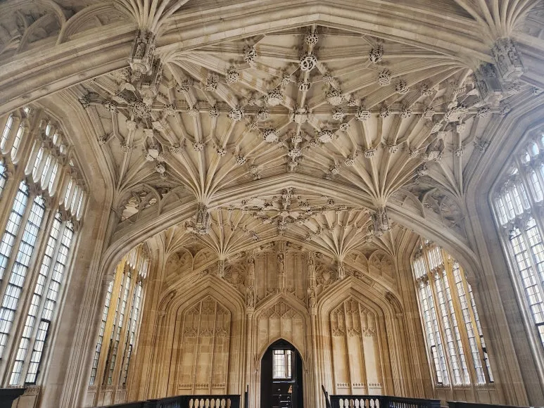 20241029_140038.jpg?type=w773