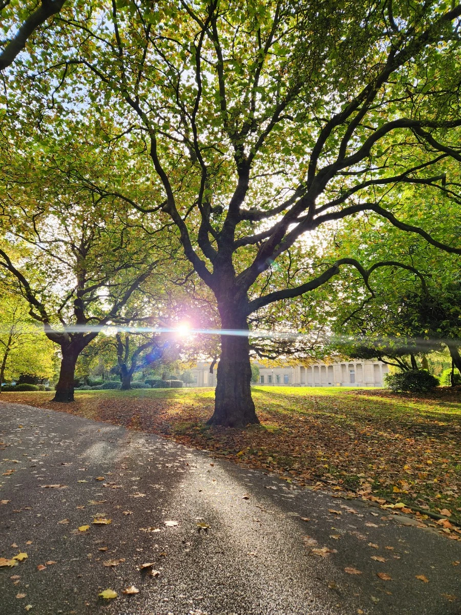 KakaoTalk_20241017_120629961_20.jpg?type=w1