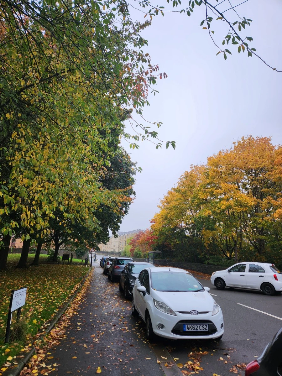 KakaoTalk_20241101_153148038_08.jpg?type=w1