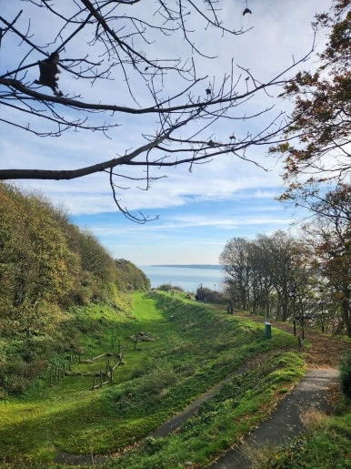 20241101_123828.jpg?type=w386