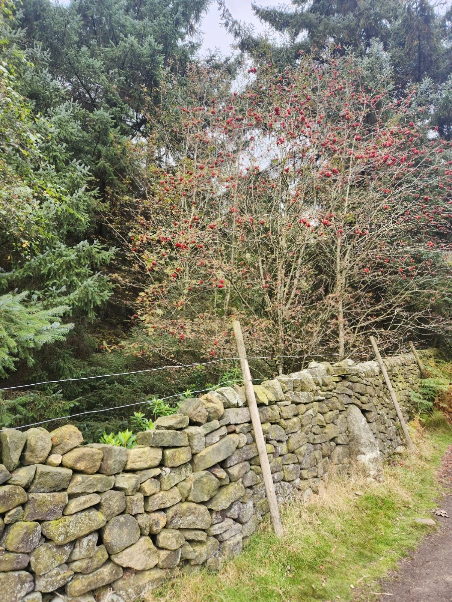 KakaoTalk_20241017_120715803_18.jpg?type=w1