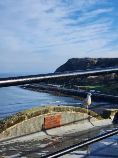 20241101_112709.jpg?type=w386