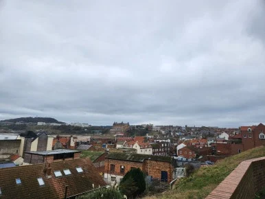 20241102_110107.jpg?type=w386