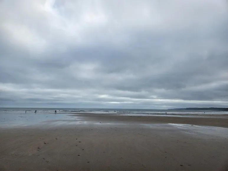 20241102_101346.jpg?type=w773