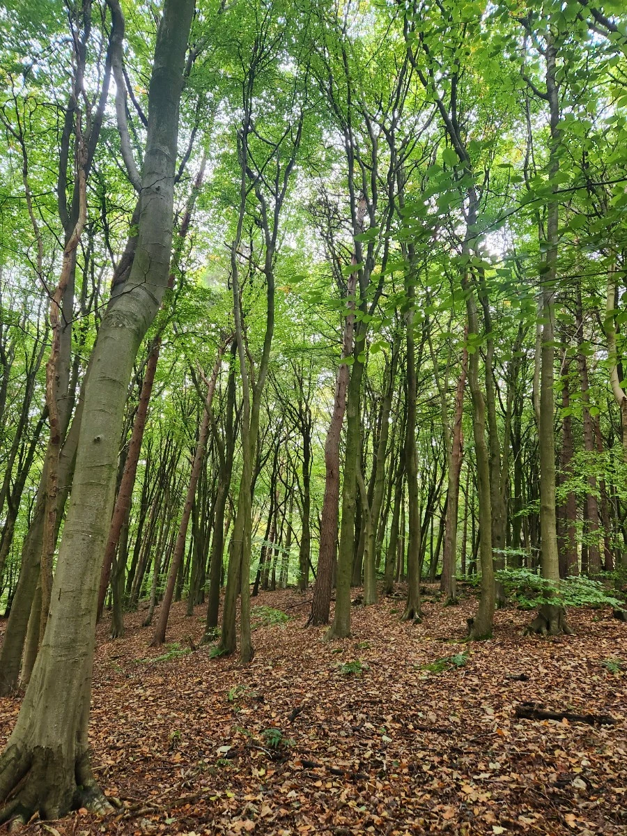 KakaoTalk_20241017_120715803_10.jpg?type=w1