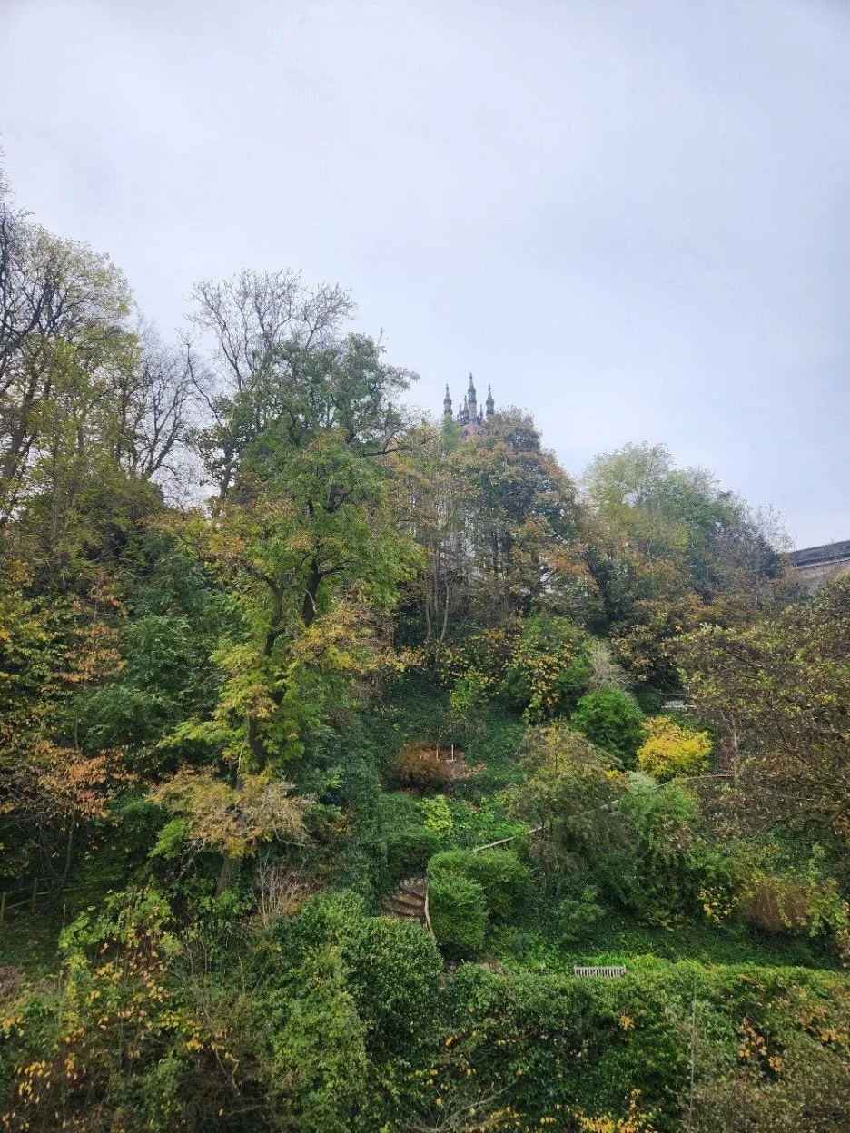 20241025_101801.jpg?type=w1