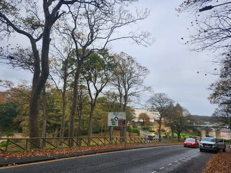 20241102_100722.jpg?type=w773