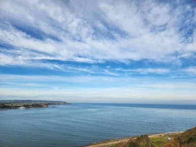 20241101_123130.jpg?type=w386