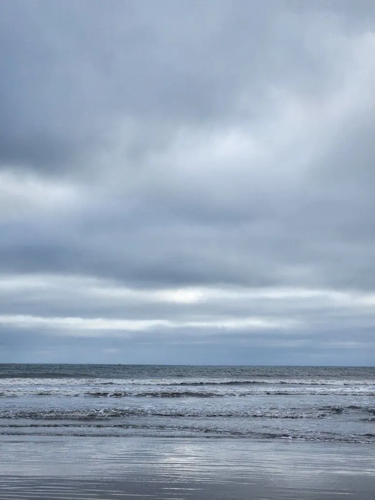 20241102_102159.jpg?type=w773