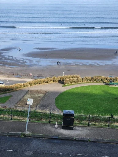 20241101_112245.jpg?type=w386