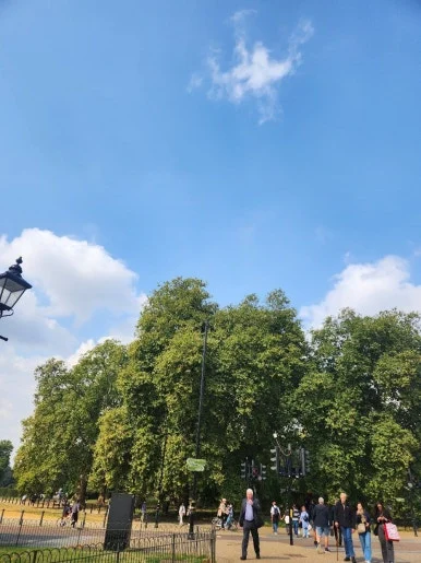 20240920_123101.jpg?type=w386