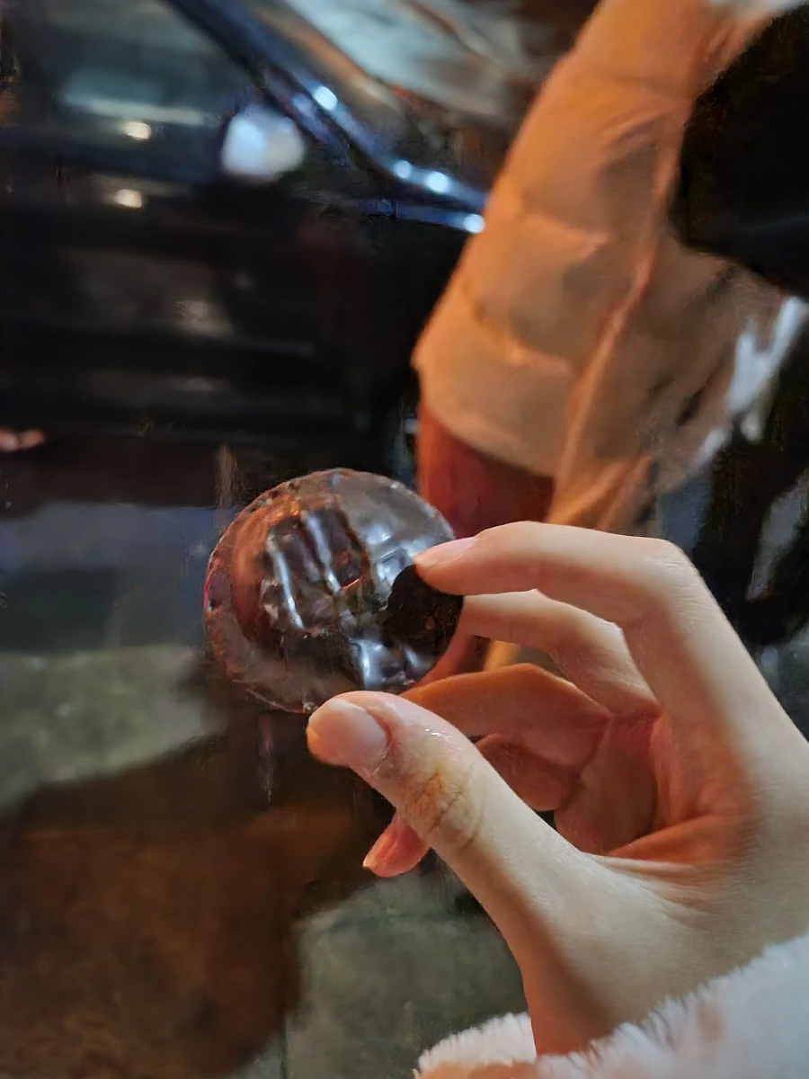 KakaoTalk_20241008_114233963_12.jpg?type=w1