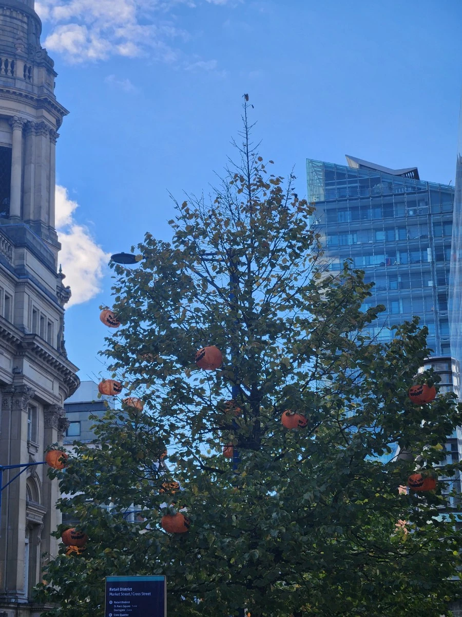 KakaoTalk_20241113_142116852.jpg?type=w1