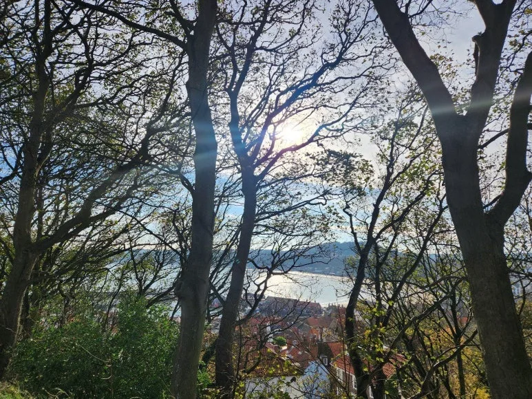 20241101_123934.jpg?type=w773