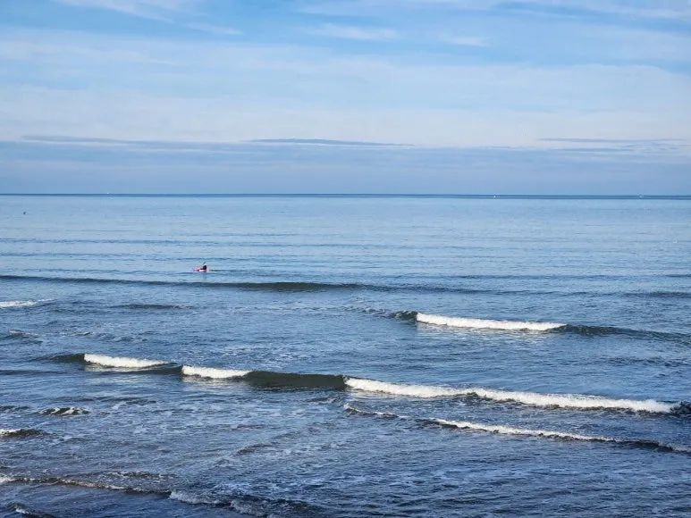 20241101_115855.jpg?type=w773