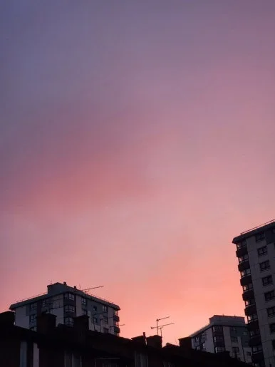 20241110_162812.jpg?type=w386