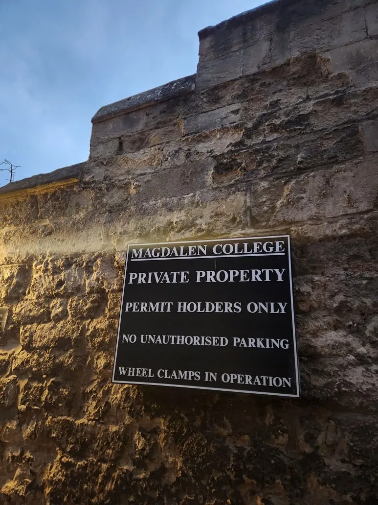 20241029_165824.jpg?type=w773