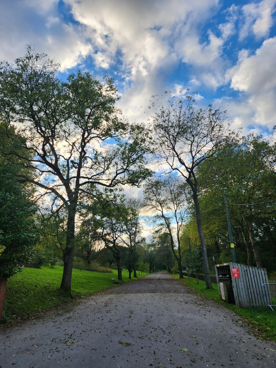 KakaoTalk_20241113_142116852_04.jpg?type=w1