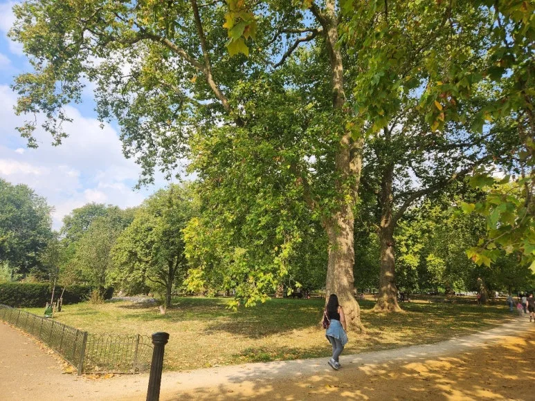 20240920_123253.jpg?type=w773