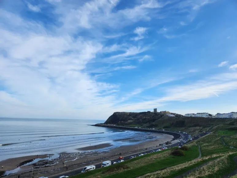 20241101_113118.jpg?type=w773