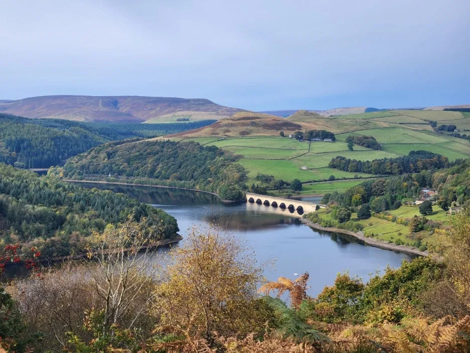 KakaoTalk_20241017_120715803_11.jpg?type=w1