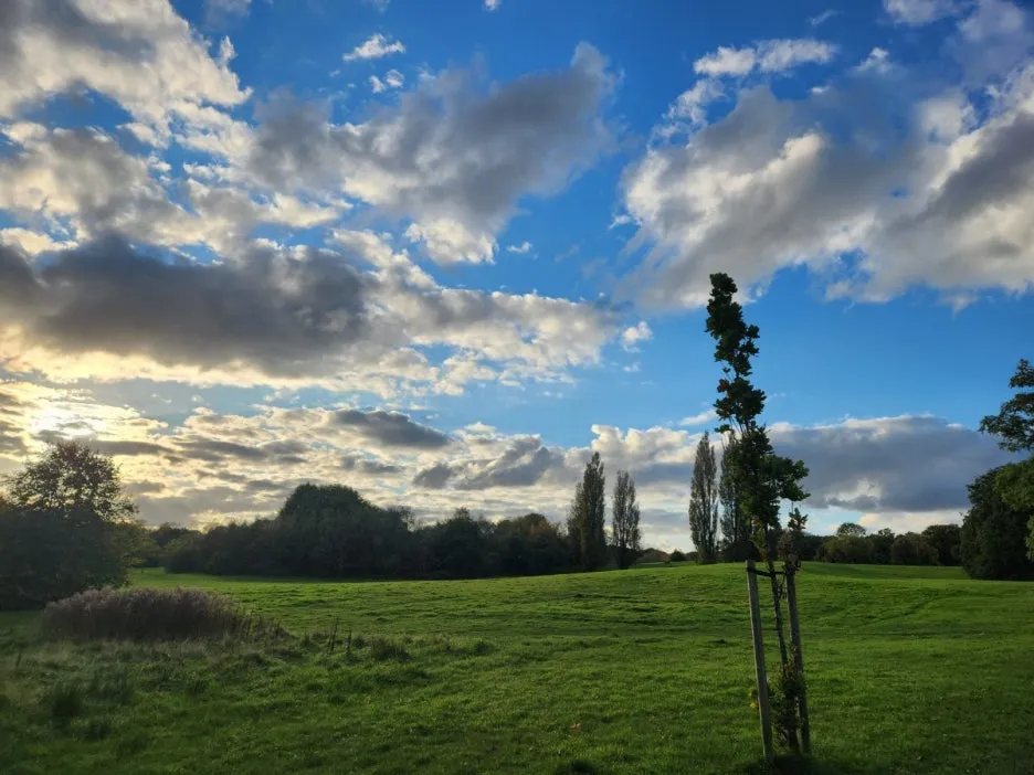 KakaoTalk_20241113_142116852_05.jpg?type=w1