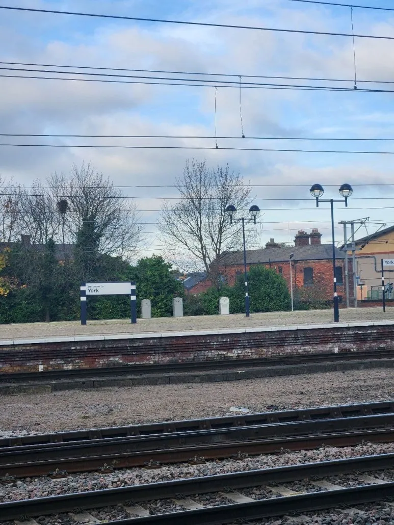 20241101_090716.jpg?type=w773