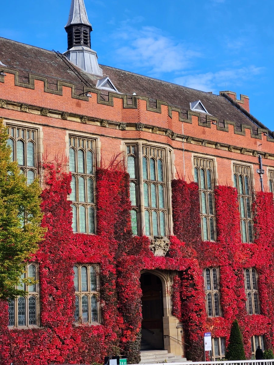 KakaoTalk_20241017_120629961_29.jpg?type=w1