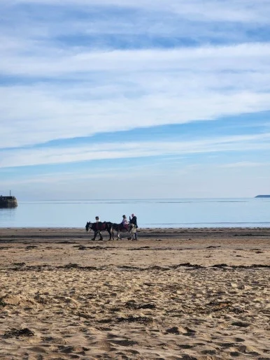 20241101_131355.jpg?type=w386