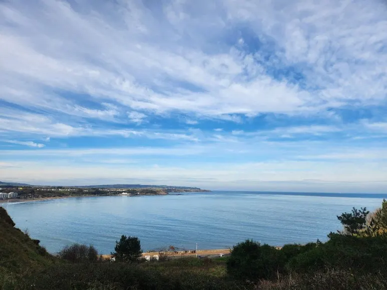 20241101_122205.jpg?type=w773